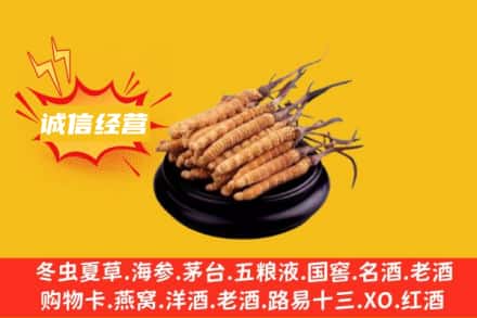 绵阳平武县回收冬虫夏草